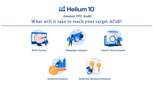 helium 10 ppc audit tool